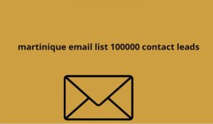 martinique email list 100000 contact leads